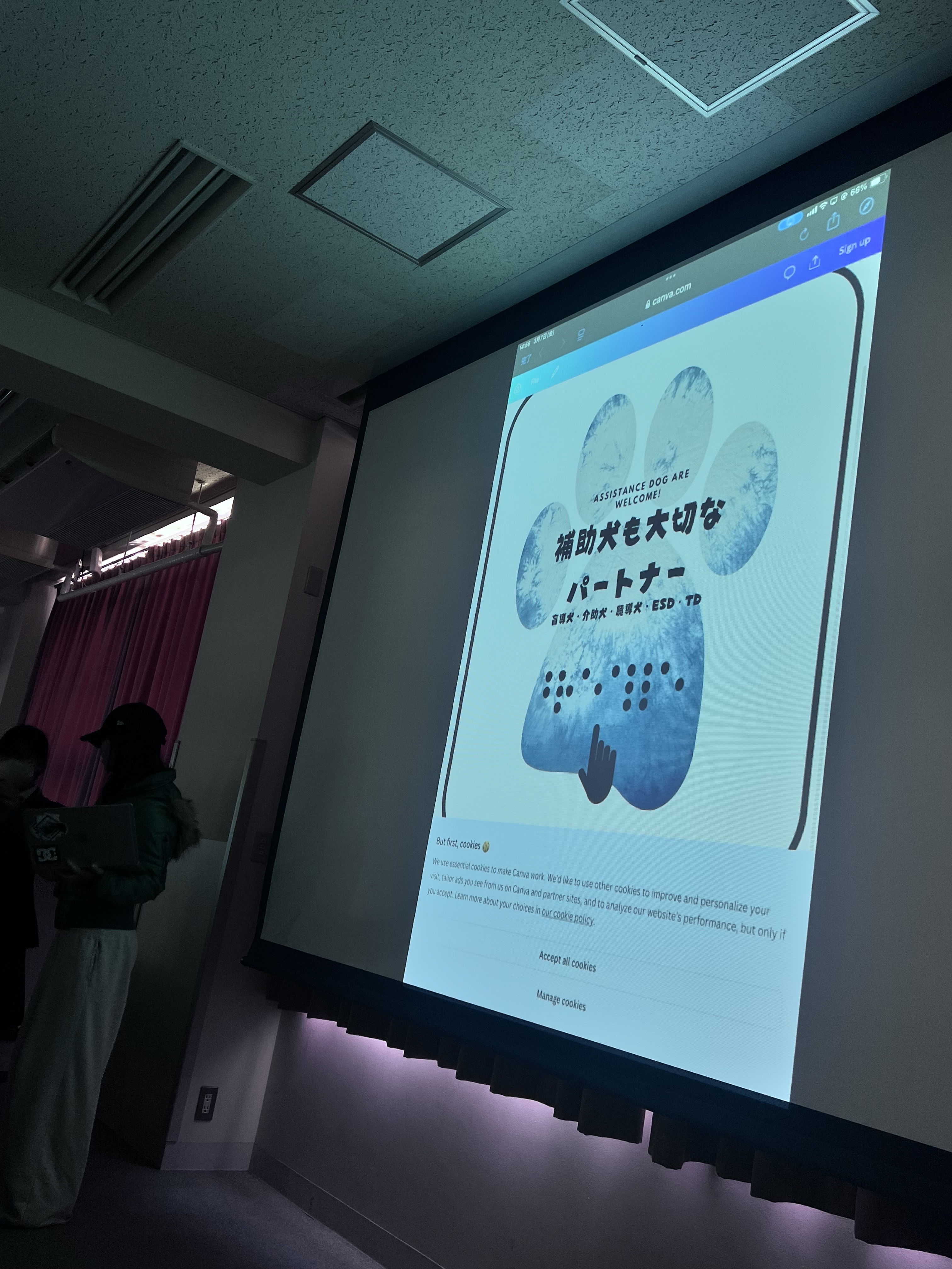 藤沢市での「SDGｓ×アート」探究学習