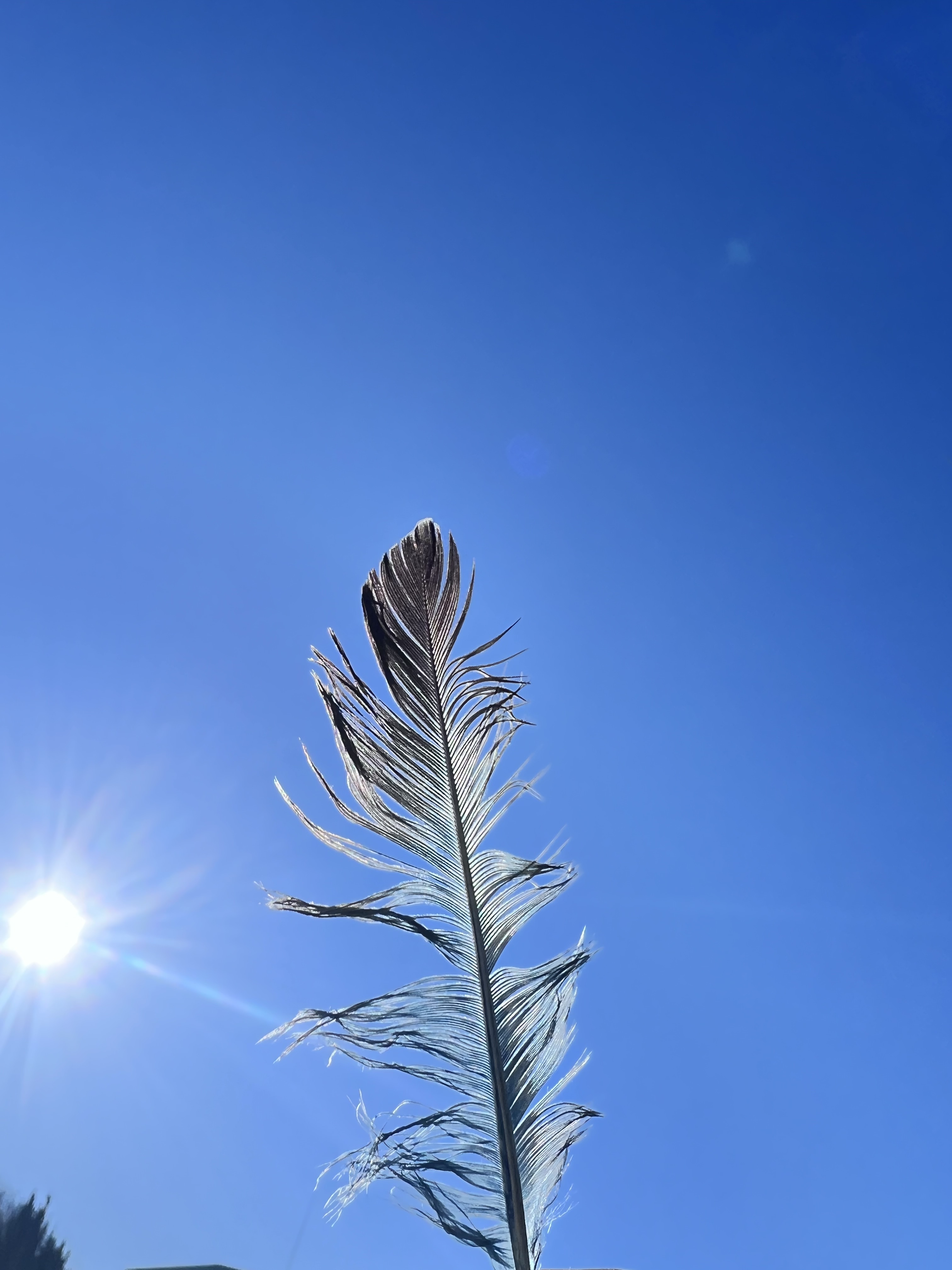 太陽のまばたき